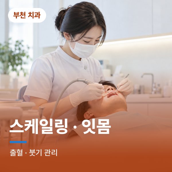 스케일링 · 잇몸